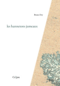 Picture of LES HANNETONS JUMEAUX : SUIVI DE CECITES