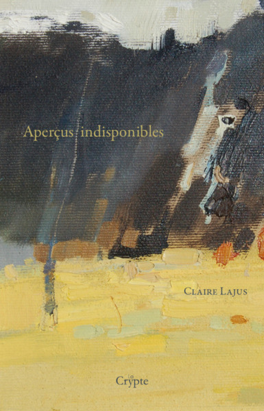 Picture of APERCUS INDISPONIBLES
