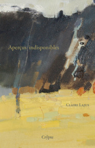 Picture of APERCUS INDISPONIBLES