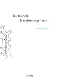 Picture of Les murs de la maison se grisent