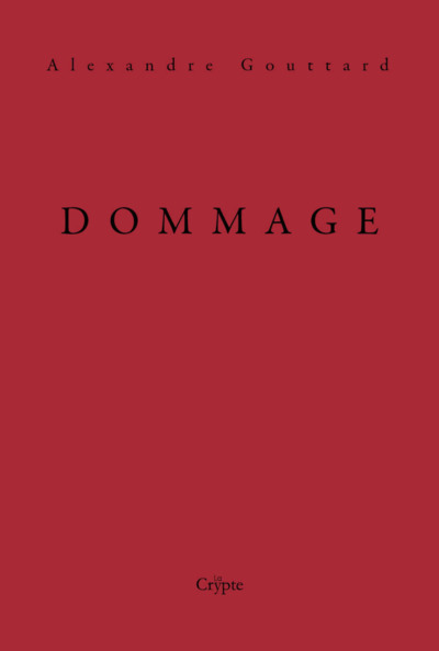 Picture of Dommage