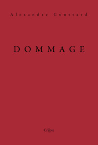 Picture of Dommage