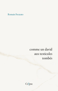 Picture of COMME UN DAVID AUX TESTICULES TOMBES