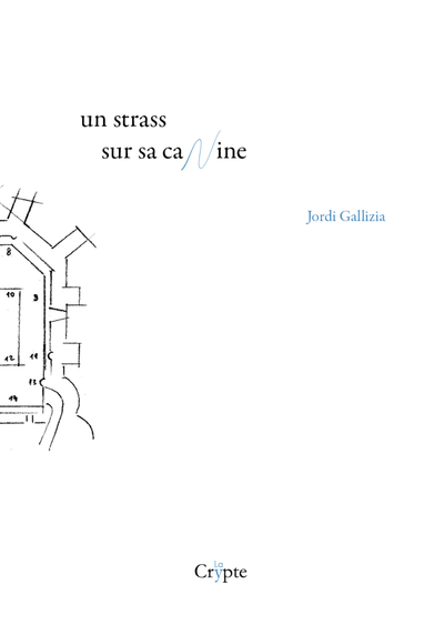 Picture of UN STRASS SUR SA CANINE