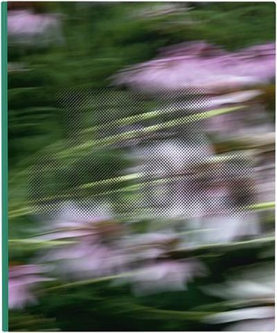 Image de Zora J Murff True Colors  (or, Affirmations in a Crisis) /anglais