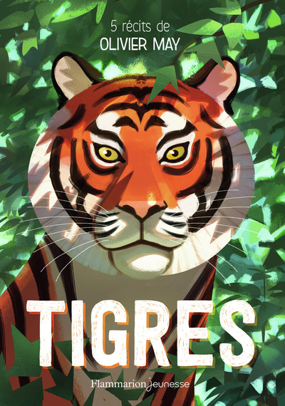 Image de Tigres