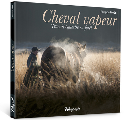 Picture of CHEVAL VAPEUR-TRAVAIL EQUESTRE EN FORET