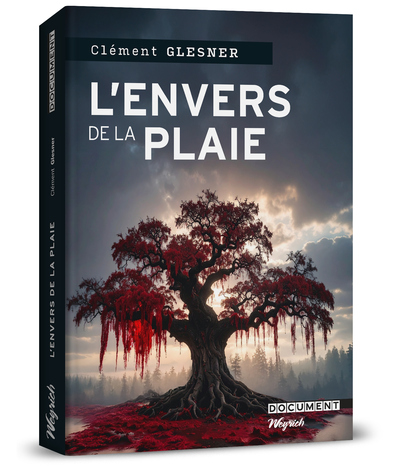 Picture of Envers de la plaie (L')