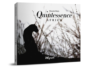 Picture of Quintessence Africa