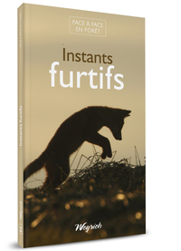 Image de Instants furtifs