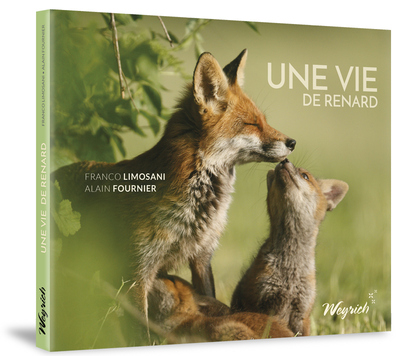 Image de UNE VIE DE RENARD