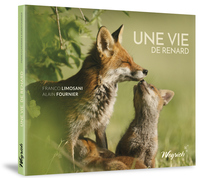 Picture of UNE VIE DE RENARD