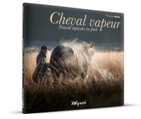 Picture of Cheval vapeur