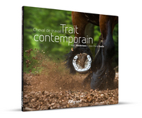Image de CHEVAL DE TRAVAIL TRAIT CONTEMPORAIN