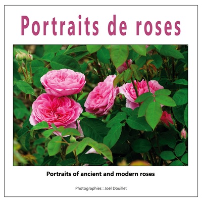 Image de Portraits de roses