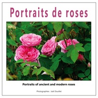 Image de Portraits de roses