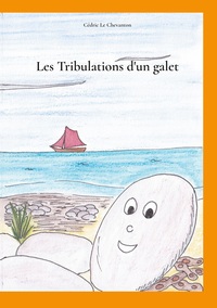 Picture of Les Tribulations d'un galet