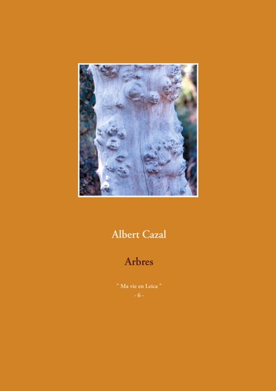 Image de Arbres