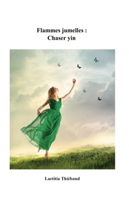 Picture of Flammes jumelles : Chaser yin
