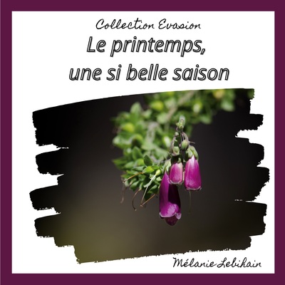 Picture of Le printemps, une si belle saison