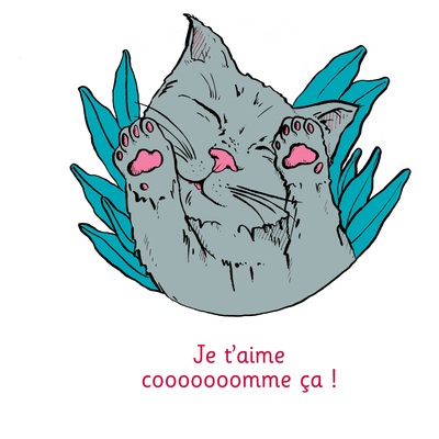 Image de Je t'aime cooooooomme ça ! - Illustré par Anne Bory