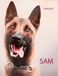 Picture of SAM