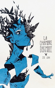 Image de La chambre dissimulée