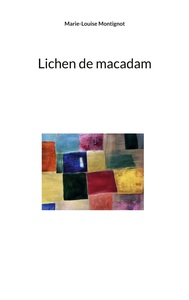Image de Lichen de macadam