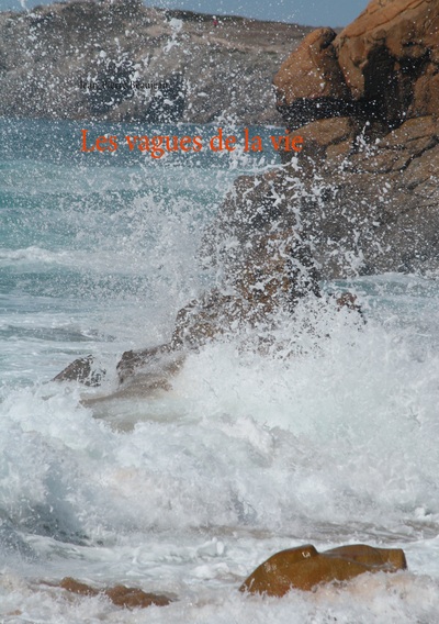 Image de Les vagues de la vie