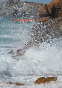 Image de Les vagues de la vie