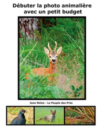 Picture of Débuter la photo animalière avec un petit budget