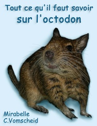 Picture of Tout ce qu'il faut savoir sur l'octodon