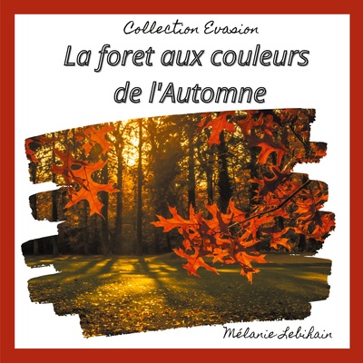 Picture of La forêt aux couleurs de l'Automne