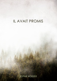 Image de Il avait promis