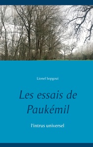 Image de Les essais de Paukémil