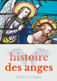Picture of Histoire des anges