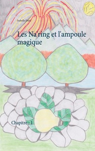 Image de Les Na'ring et l'ampoule magique