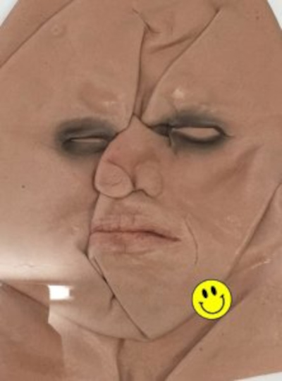 Image de Psychobuch 2