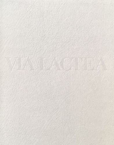 Picture of Via Lactea