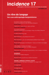 Image de Incidence 17