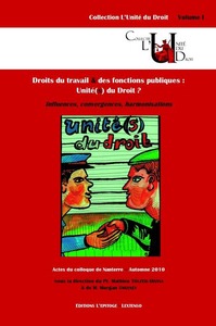 Picture of DROITS DU TRAVAIL ET DES FONCTIONS PUBLIQUES : UNITÉ(S) DU DROIT ?