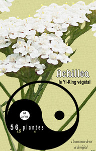 Picture of Achillea, le Yi-King végétal