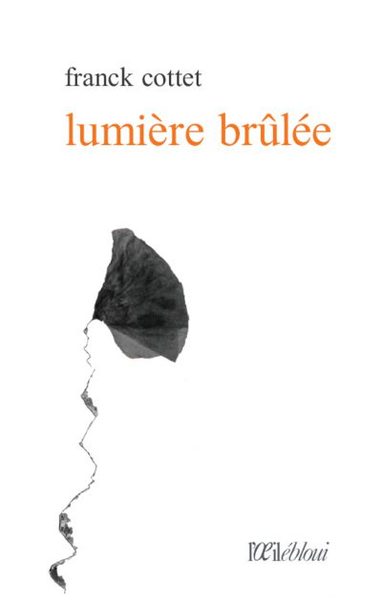 Picture of Lumière brûlée