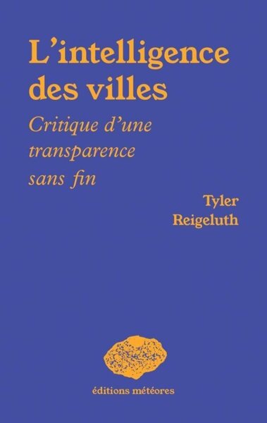 Image de L'INTELLIGENCE DES VILLES : CRITIQUE D'UNE TRANSPARENCE SANS FIN