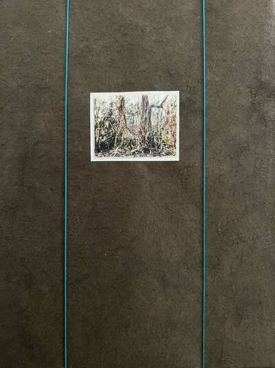 Image de ROOTS AND BONDS