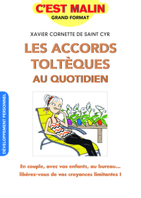 Picture of Les accords toltèques au quotidien, c'est malin