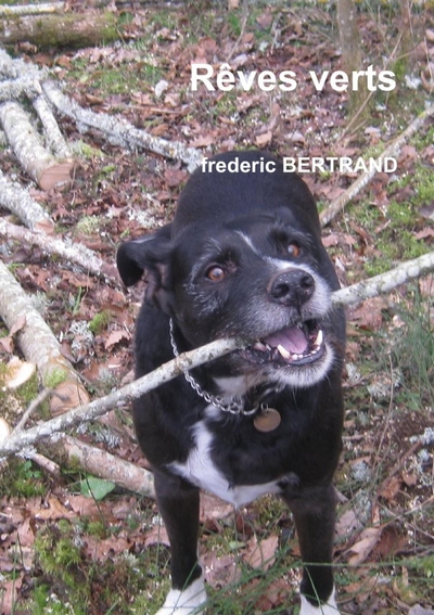 Picture of Rêves verts