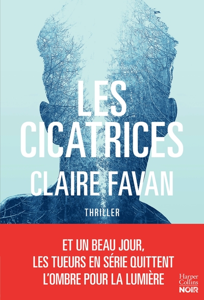 Picture of Les cicatrices