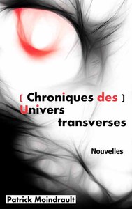 Picture of (Chroniques des) Univers transverses