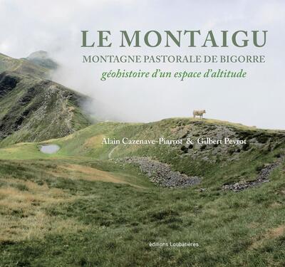 Picture of Le Montaigu. Montagne pastorale de Bigorre